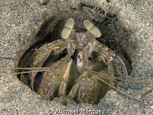 Aquel Mantis de Crash Boat, Aguadilla, P.R. by Abimael Márquez 